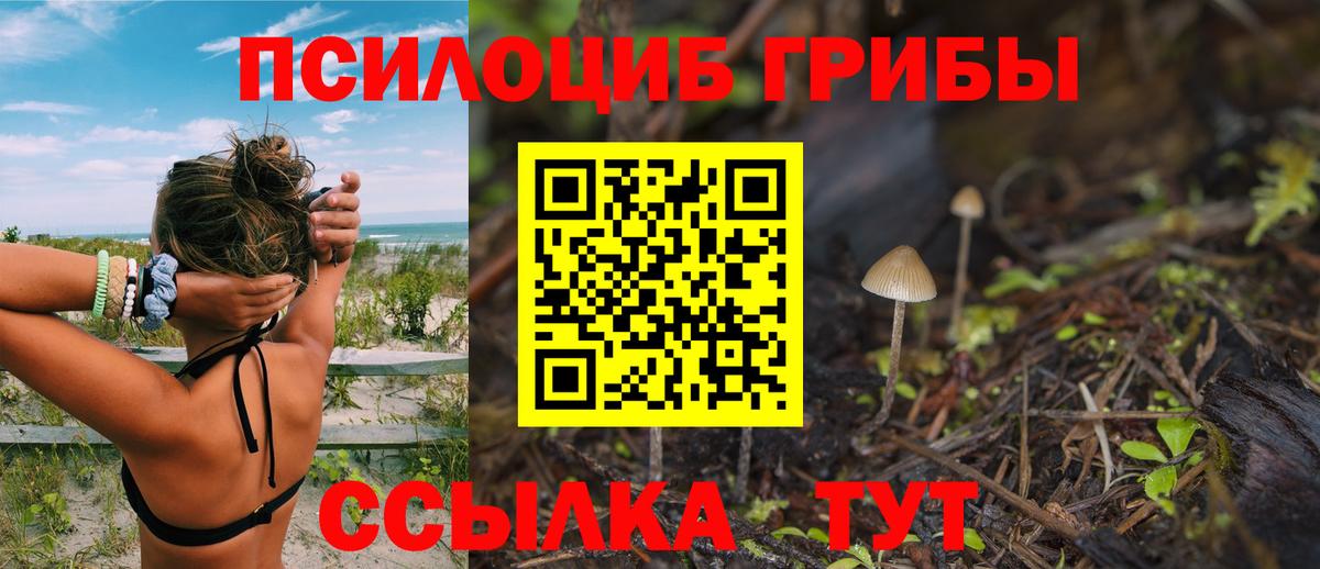 Галлюциногенные грибы Psilocybine cubensis  Вход с VPN  Ступино 